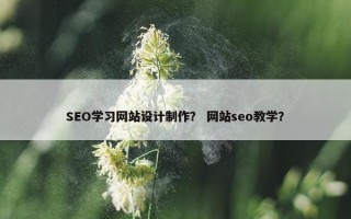 SEO学习网站设计制作？ 网站seo教学？