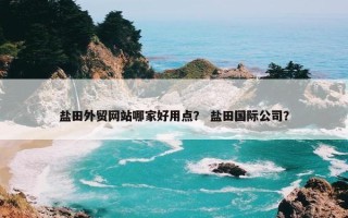 盐田外贸网站哪家好用点？ 盐田国际公司？