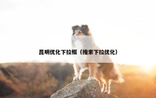 昆明优化下拉框（搜索下拉优化）