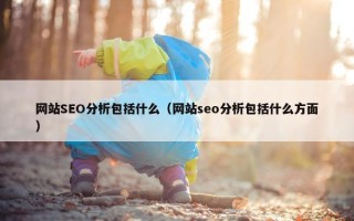 网站SEO分析包括什么（网站seo分析包括什么方面）