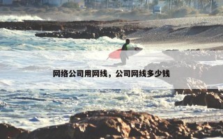 网络公司用网线，公司网线多少钱