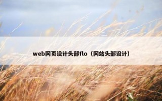 web网页设计头部flo（网站头部设计）