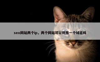seo网站两个ip，两个网站可以共用一个域名吗