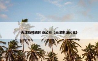 天津斯帕克网络公司（天津斯派莎克）