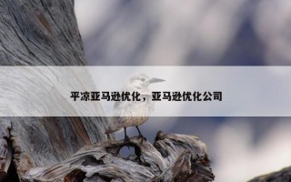 平凉亚马逊优化，亚马逊优化公司