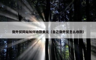 做外贸网站如何收款美元（自己做外贸怎么收款）