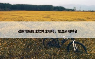 过期域名抢注软件注册码，抢注到期域名