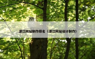 湛江网站制作排名（湛江网站设计制作）
