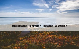 揭阳网站推广作用如何？ 网站推广效果如何？