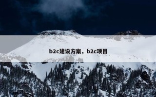 b2c建设方案，b2c项目