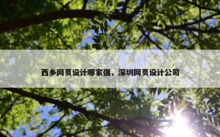 西乡网页设计哪家强，深圳网页设计公司