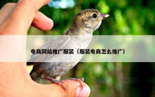 电商网站推广服装（服装电商怎么推广）
