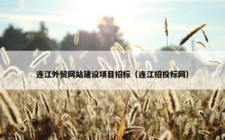 连江外贸网站建设项目招标（连江招投标网）