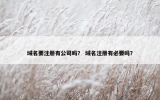 域名要注册有公司吗？ 域名注册有必要吗？