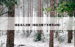 域名没人注册（域名注册了不用可以吗）