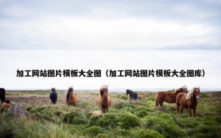 加工网站图片模板大全图（加工网站图片模板大全图库）