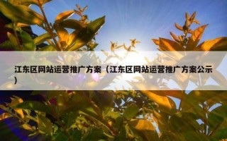 江东区网站运营推广方案（江东区网站运营推广方案公示）