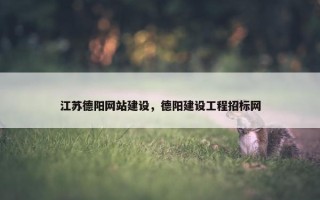 江苏德阳网站建设，德阳建设工程招标网