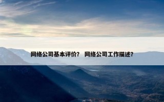 网络公司基本评价？ 网络公司工作描述？