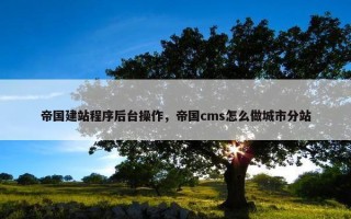 帝国建站程序后台操作，帝国cms怎么做城市分站