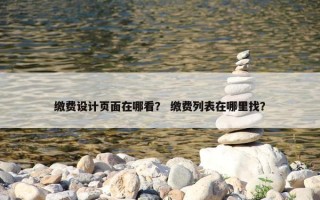 缴费设计页面在哪看？ 缴费列表在哪里找？