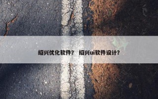 绍兴优化软件？ 绍兴ui软件设计？