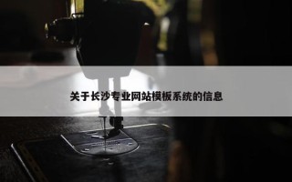 关于长沙专业网站模板系统的信息