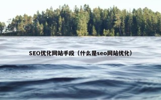 SEO优化网站手段（什么是seo网站优化）