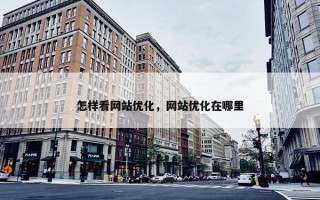 怎样看网站优化，网站优化在哪里