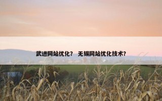 武进网站优化？ 无锡网站优化技术？