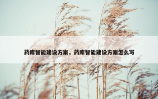 药库智能建设方案，药库智能建设方案怎么写