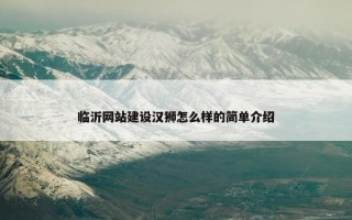 临沂网站建设汉狮怎么样的简单介绍