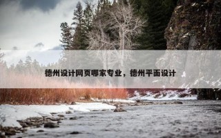 德州设计网页哪家专业，德州平面设计