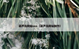 葫芦岛网站seo（葫芦岛网站制作）