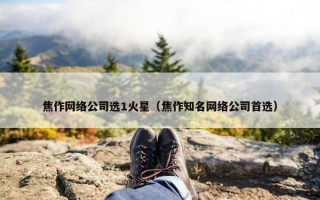 焦作网络公司选1火星（焦作知名网络公司首选）