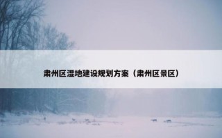 肃州区湿地建设规划方案（肃州区景区）