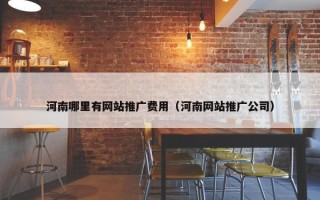 河南哪里有网站推广费用（河南网站推广公司）