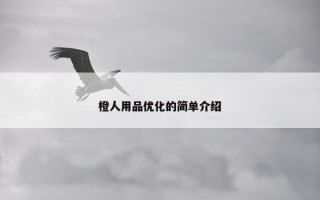 橙人用品优化的简单介绍