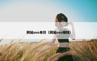 网站seo单价（网站seo赚钱）
