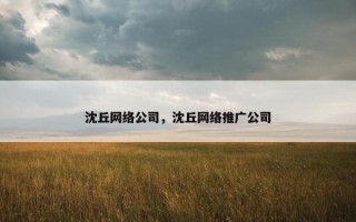 沈丘网络公司，沈丘网络推广公司