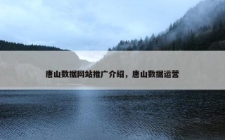 唐山数据网站推广介绍，唐山数据运营