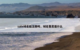 sale域名能注册吗，域名售卖是什么