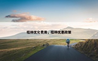 桂林优化费用，桂林优惠政策