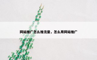 网站推广怎么推流量，怎么用网站推广