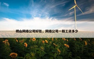 稷山网络公司好处，网络公司一般工资多少