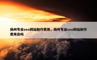 扬州专业seo网站制作费用，扬州专业seo网站制作费用高吗