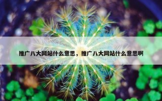 推广八大网站什么意思，推广八大网站什么意思啊