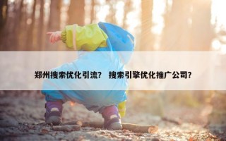 郑州搜索优化引流？ 搜索引擎优化推广公司？