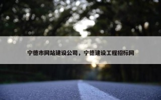 宁德市网站建设公司，宁德建设工程招标网