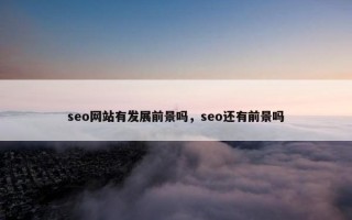 seo网站有发展前景吗，seo还有前景吗